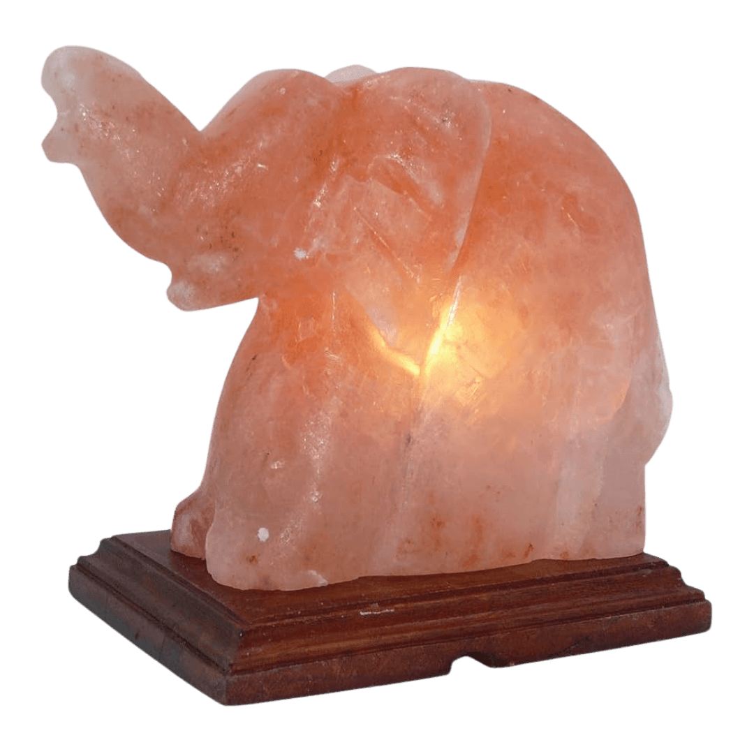 Original Hand-Carved Elephant Lamp Himalayan Salt Stone Lamp - Premium Khewra Rock Salt Decor in Pakistan - Orania Premium