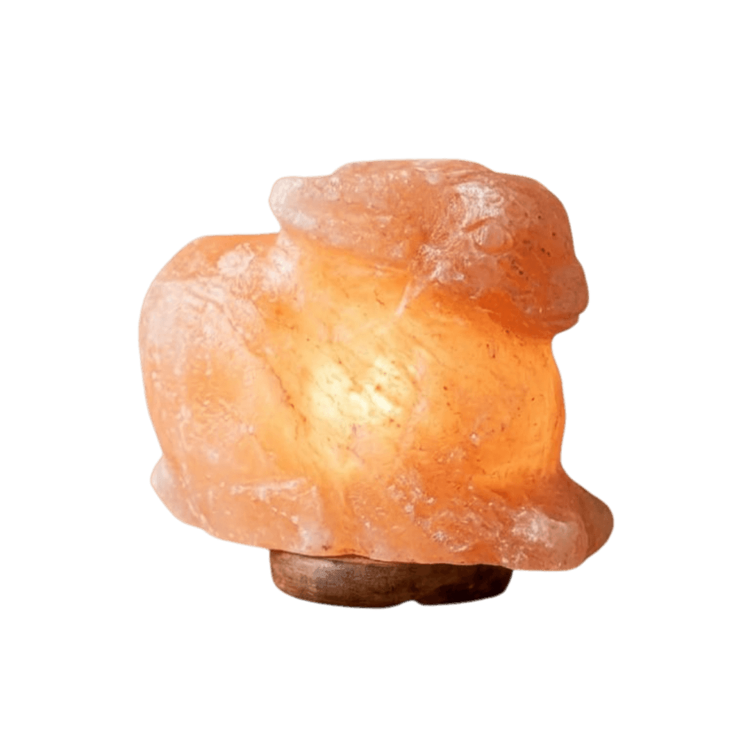 Original Hand-Carved Rabbit Lamp Himalayan Salt Stone Lamp - Premium Khewra Rock Salt Decor in Pakistan - Orania Premium